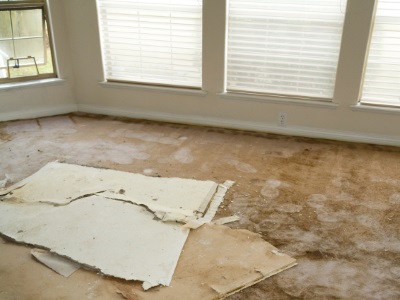 Water damage restoration in Crystal Beach by Certified Green Team